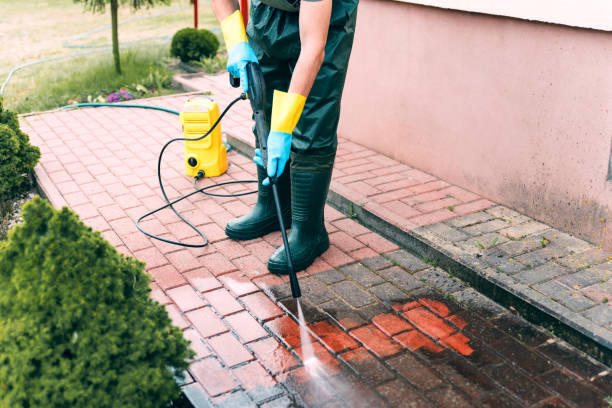 Best Dumpster Area Cleaning  in Kirkwood, MO